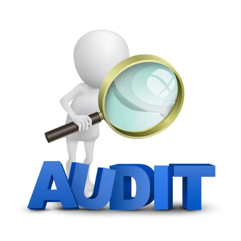 Audit & Conseil
